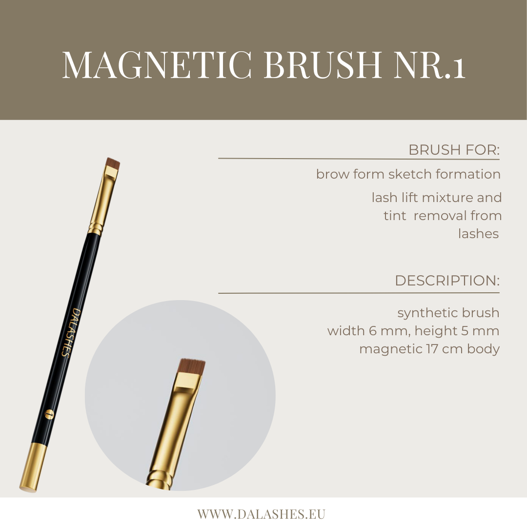 MAGNETIC BRUSHES