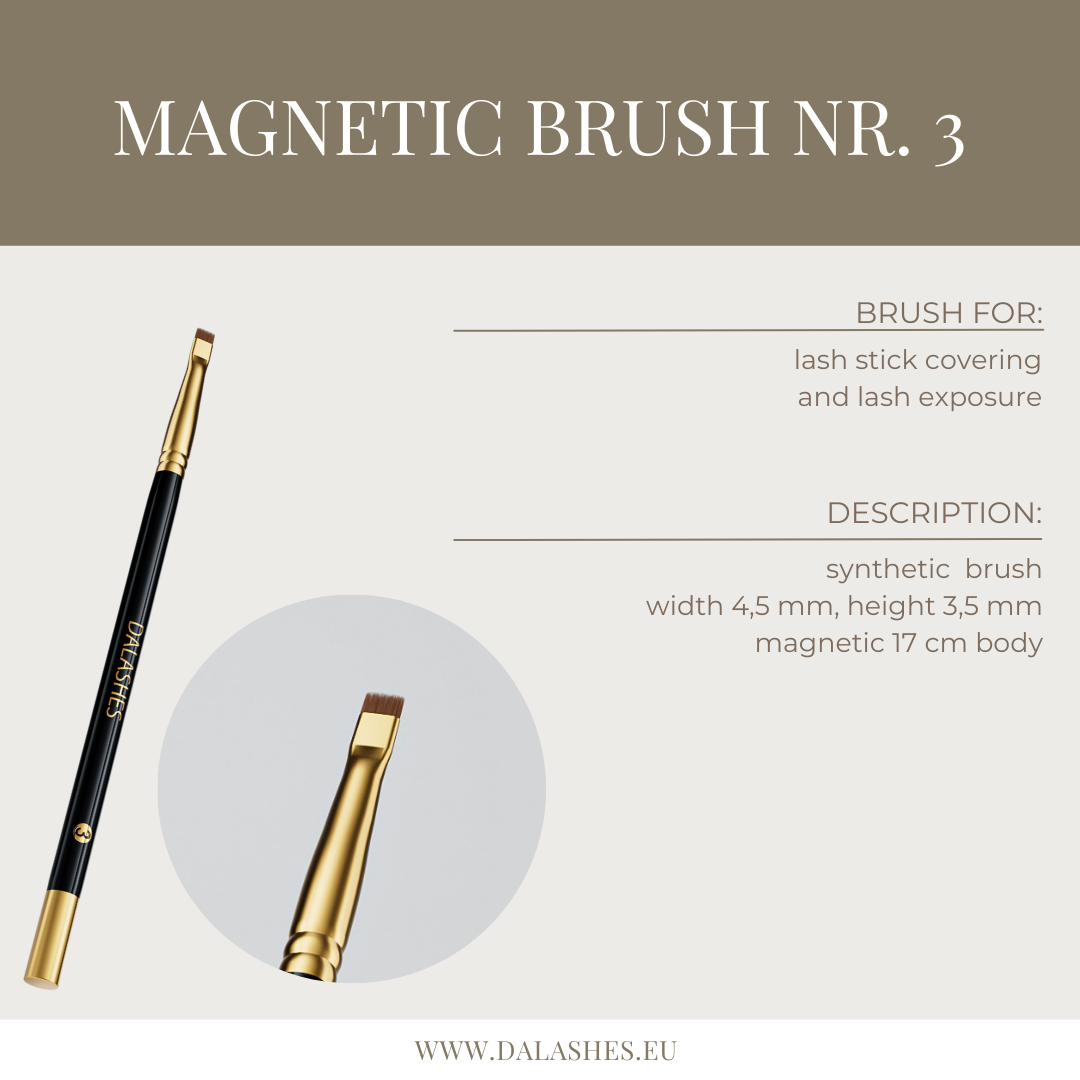 MAGNETIC BRUSHES